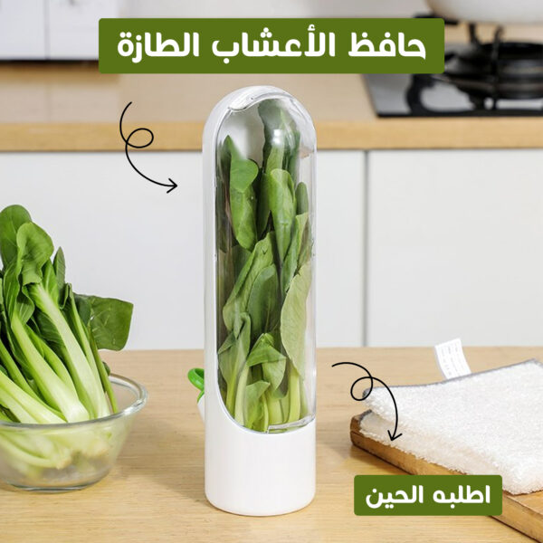 حافظة الأعشاب الطازجة للحفاظ على النعناع والبقدونس والخضروات